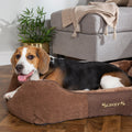 Chester Box Dog Bed (in Chocolate Brown, Dark Grey or Graphite Grey) by Scruffs