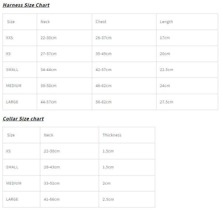 "Cute As Can Bee 2.0" Adjustable Dog Collar – by Flossie & Floof