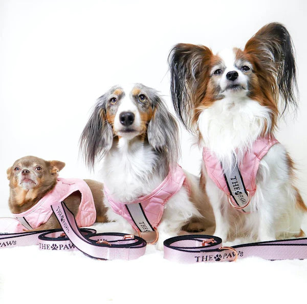 Brooklyn Dog Harness (Blush)– by The Paw Co.