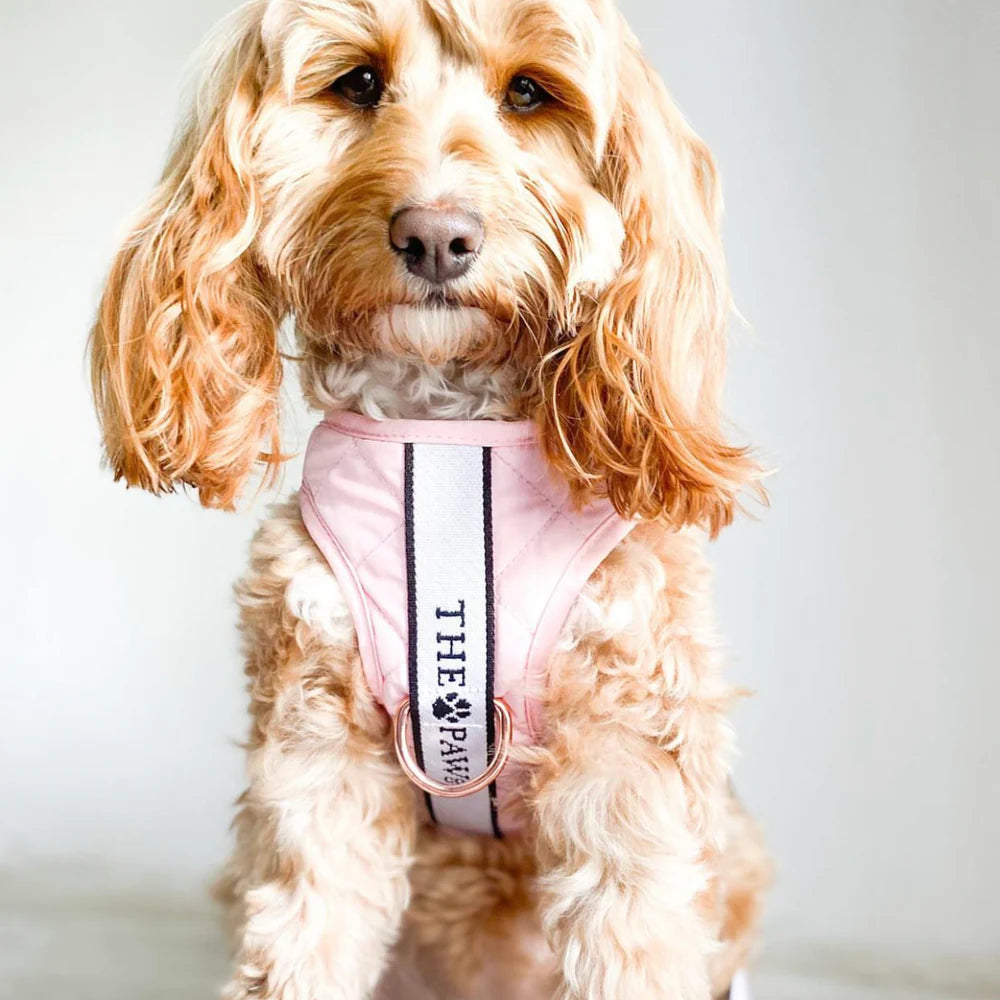 Brooklyn Dog Harness (Blush)– by The Paw Co.