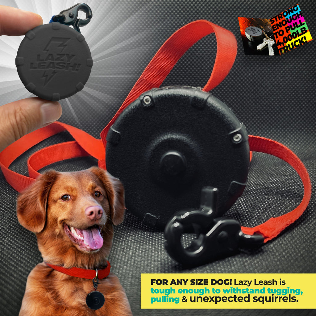 New & Improved Lazy Leash - 12 Two-Piece Packs!