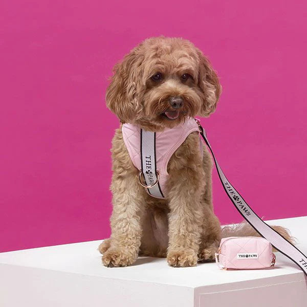 Brooklyn Dog Harness (Blush)– by The Paw Co.
